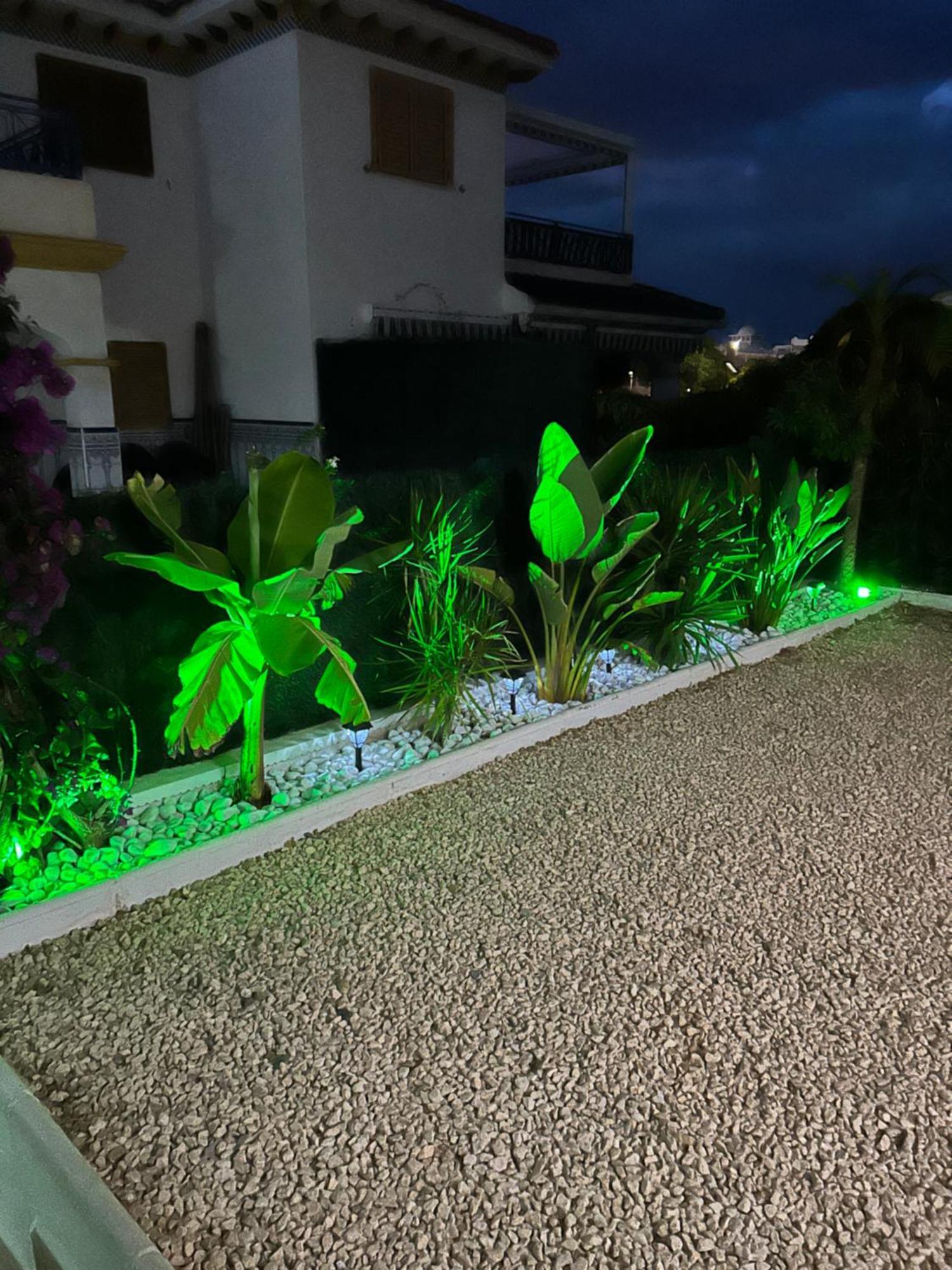 Acogedor Apartamento En La Playa Vera Exterior foto