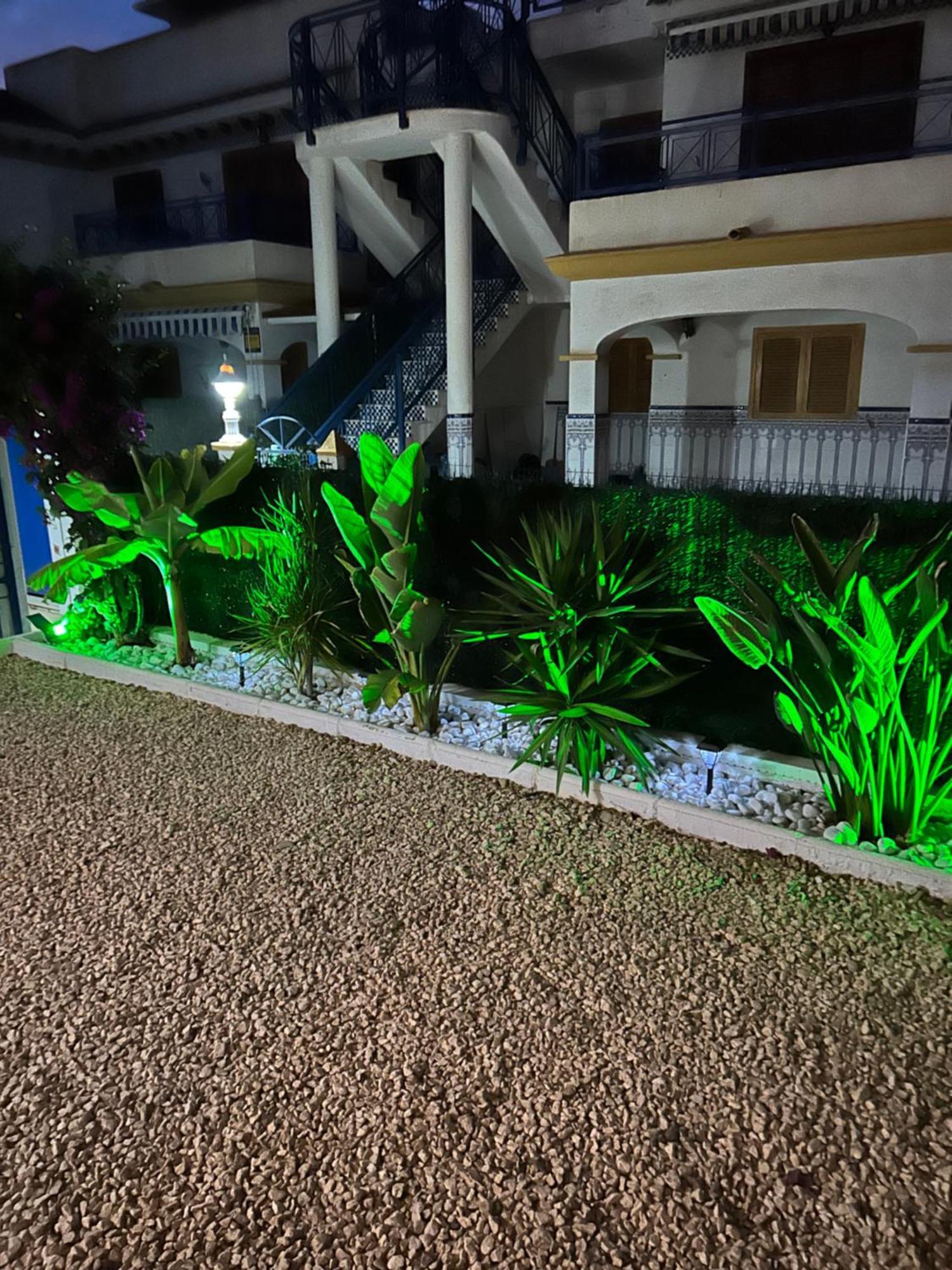 Acogedor Apartamento En La Playa Vera Exterior foto